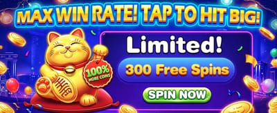 Premium Casino Gaming Experience
